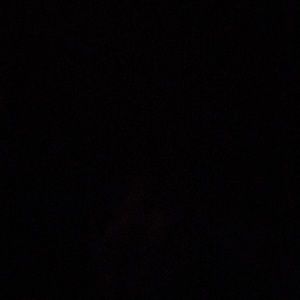 Meet your Posher, Jayla